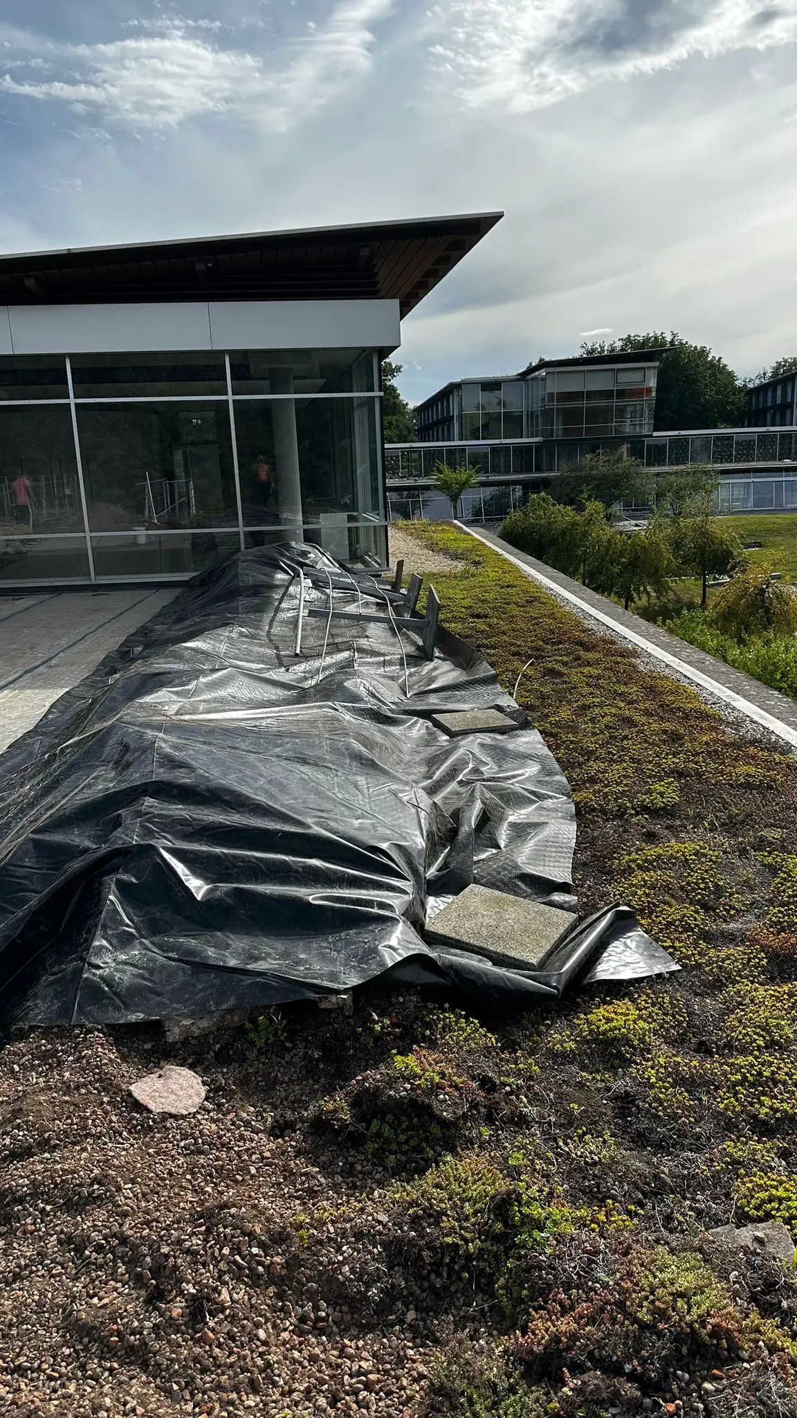 Referenzprojekt Promonta Multiservice Chemnitz – Bauprojekt 20250904-WA0006